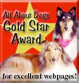 Goldstar Award